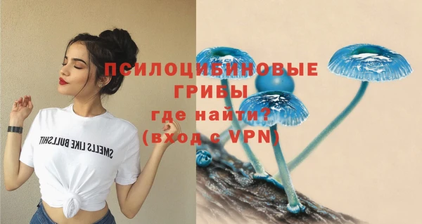 ешки Алексин