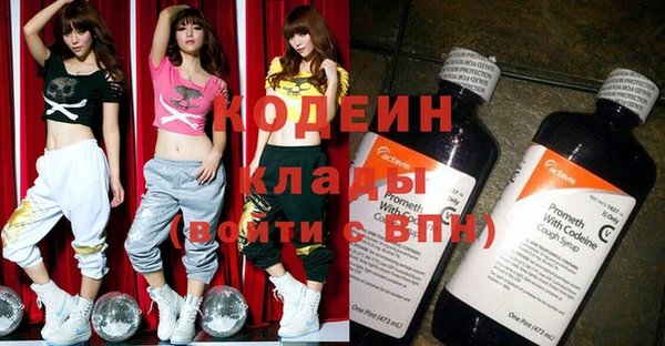 крисы Новодвинск
